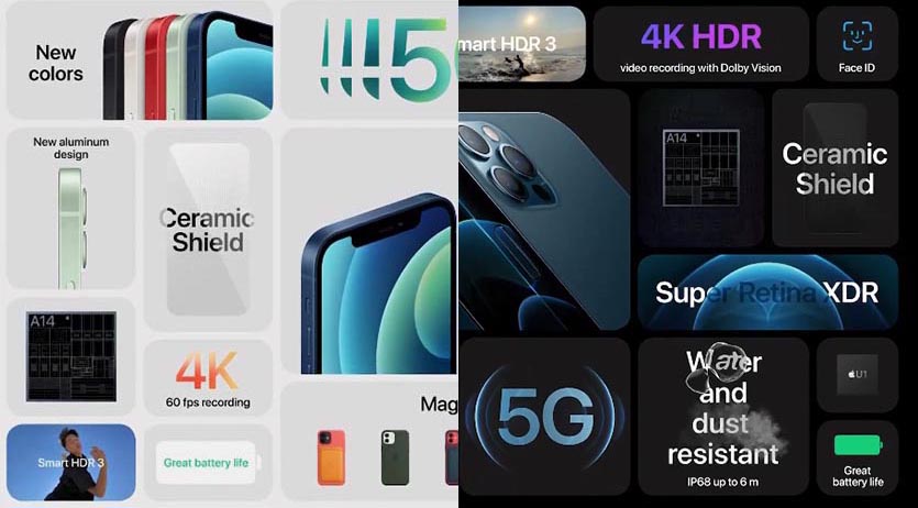 Функции iphone. Чем отличается 12 айфон от 12 про.
